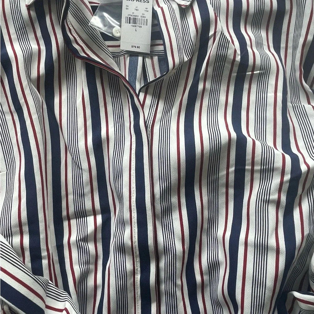 Express Women’s Portofino Shirt Dress, Size L, Blue & Burgundy Stripe. - Picture 3 of 6